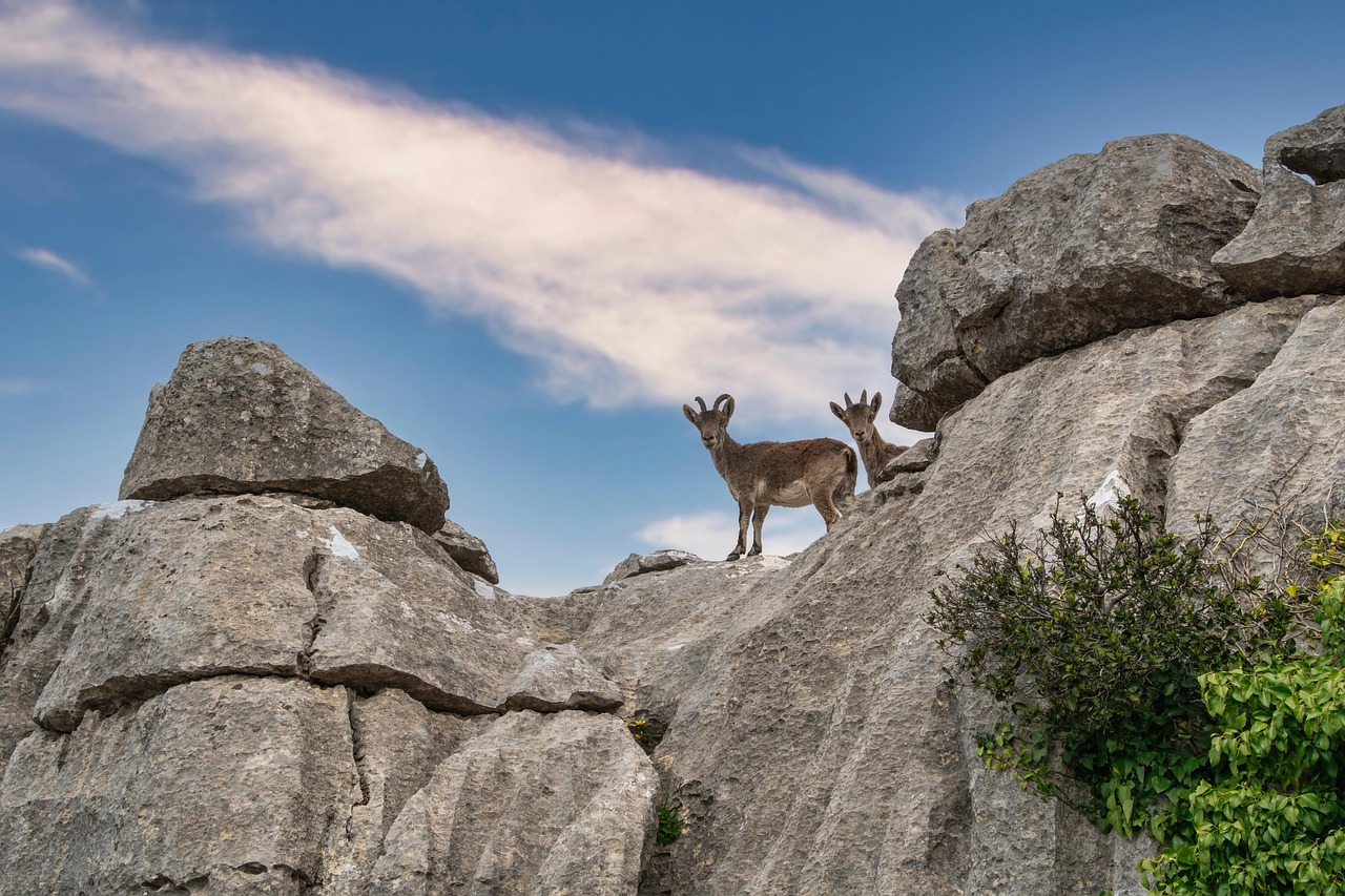 Ruta Senderismo en El Torcal Antequera 3