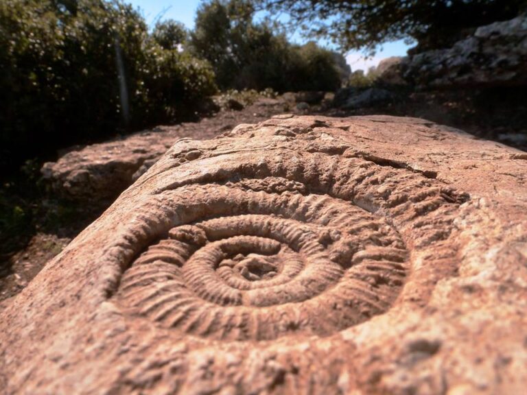 Torcal de Antequera Ruta de los Ammonites 1 768x576