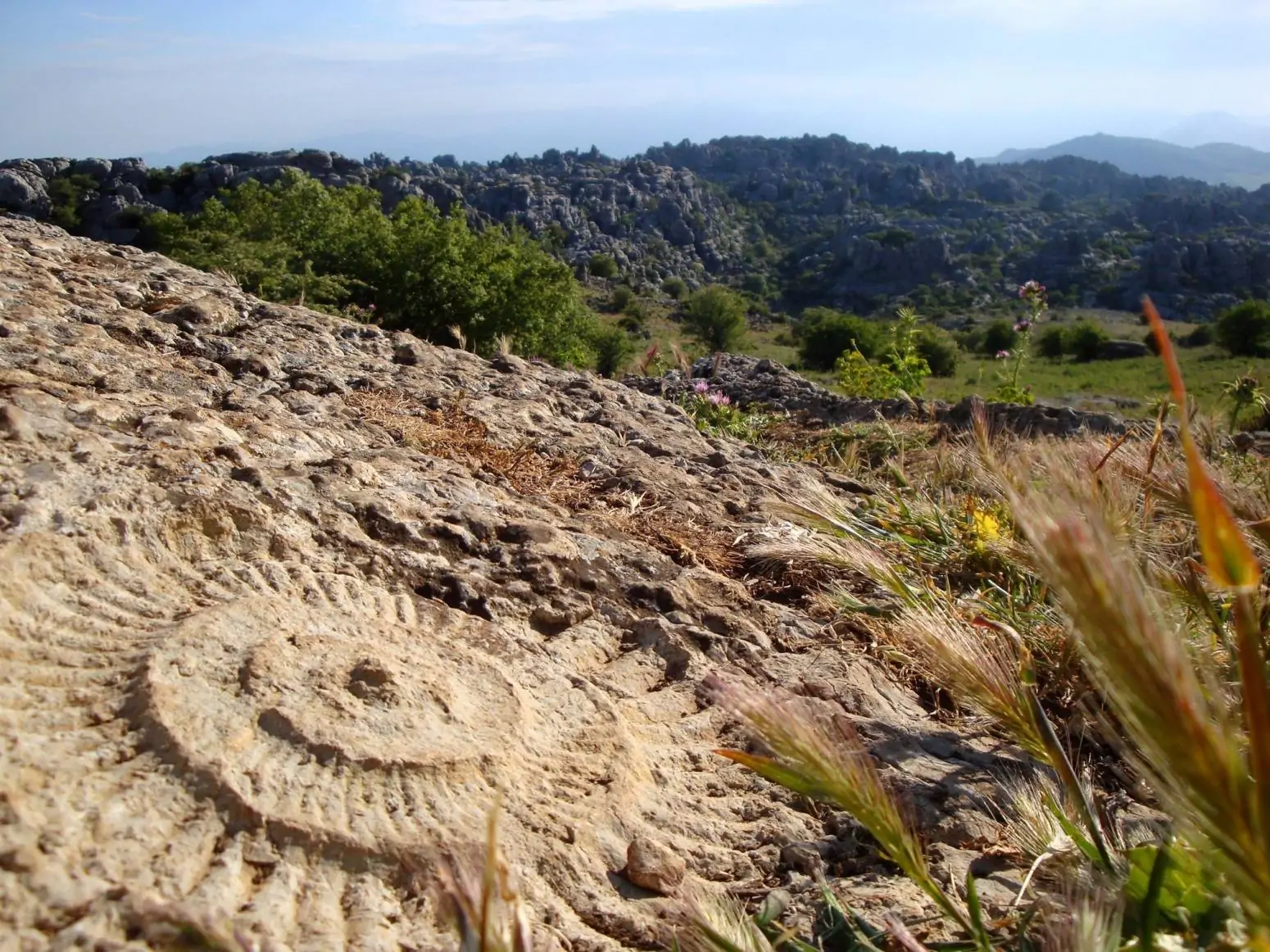 Torcal de Antequera Ruta de los Ammonites 2 1