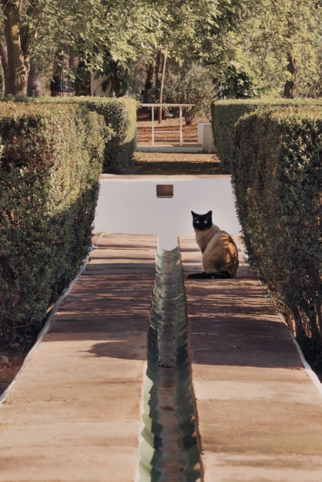 Casa museo de Antonio Gala la Baltasara 10