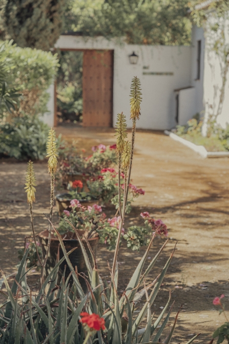 Casa museo de Antonio Gala la Baltasara 12