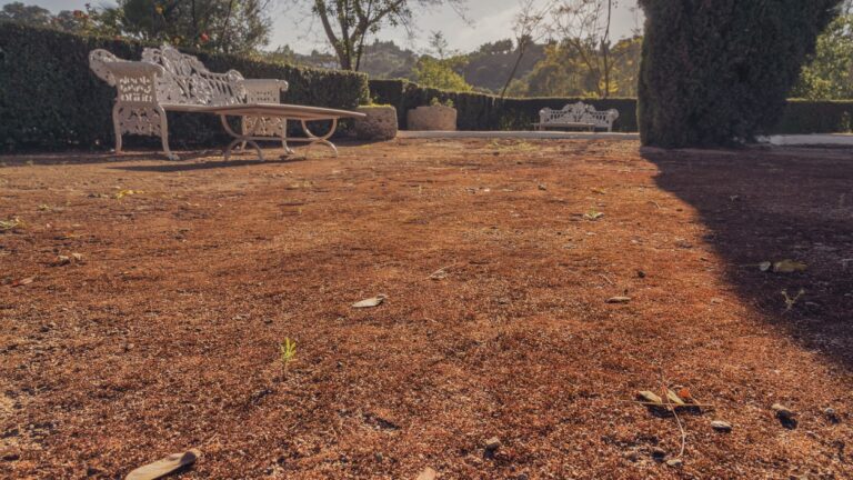 Casa museo de Antonio Gala la Baltasara 15 768x432
