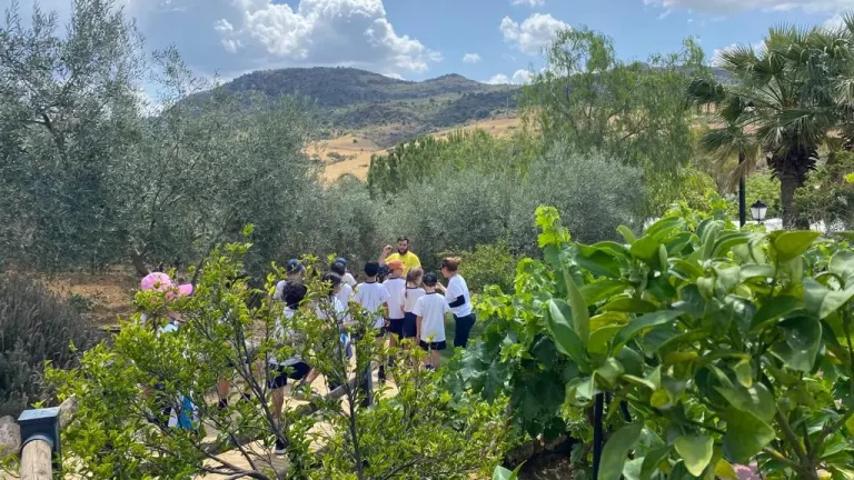 Guadalhorce Arboretum Colegios de primaria 4 768x432