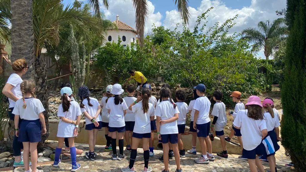 Guadalhorce Arboretum Colegios de primaria 5 1