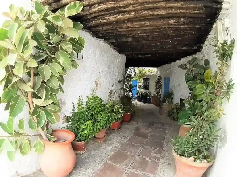 Tour privado en Frigiliana 8 768x576