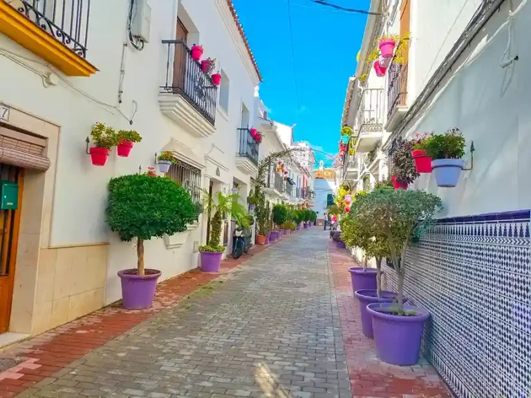 Tour privado en estepona 1 768x577