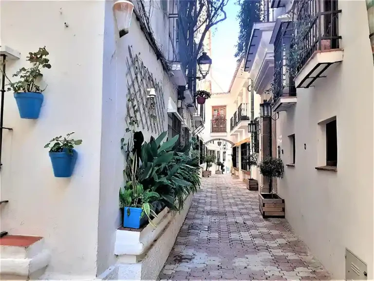 Tour privado por Marbella 4 768x576