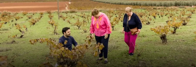 Visita a almazara bodega y olivar 1 768x263