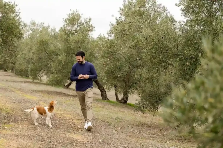 Visita a almazara bodega y olivar 2 768x512