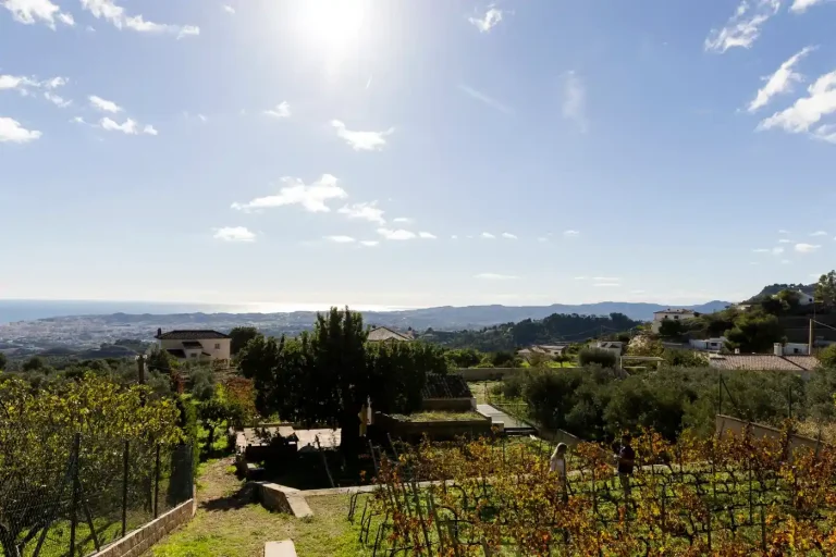 Visita guiada a vinedos y bodega de Malaga 4 4 768x512