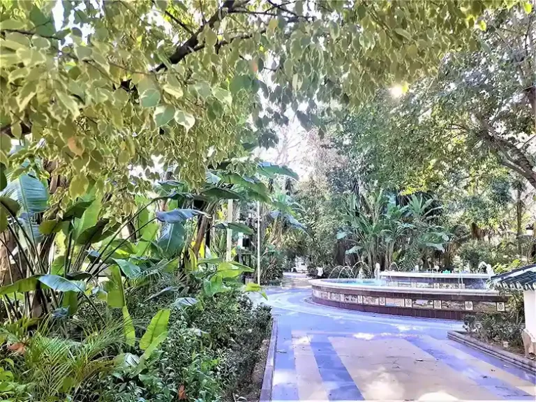 Visita guiada por marbella 2 768x576