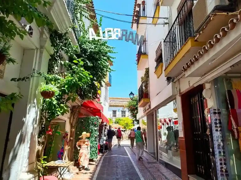 Visita guiada por marbella 3 768x576