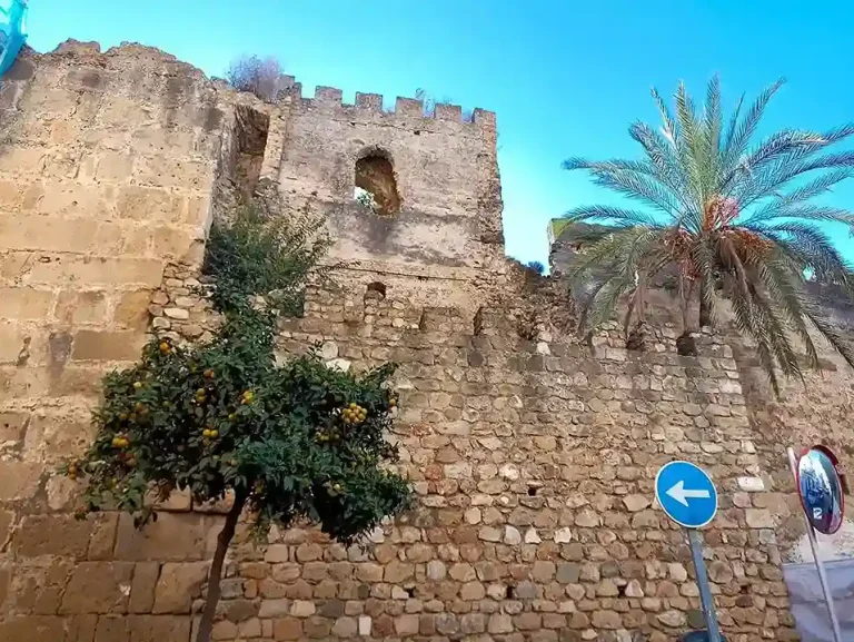 Visita guiada por marbella 4 768x577