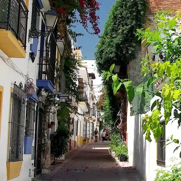 Visita guiada por marbella 6 2
