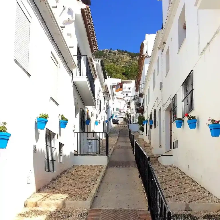 Visita guiada privada mijas pueblo 7 768x769