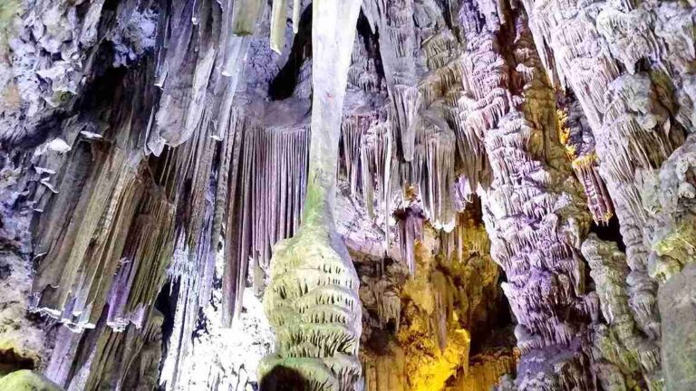 tour privado a Gibraltar 4 768x432