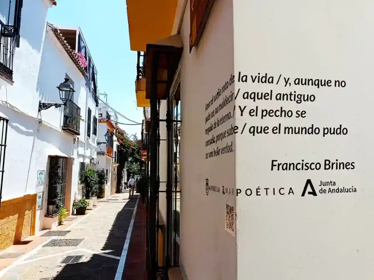 visita griadaprivada por Marbella 7 768x576