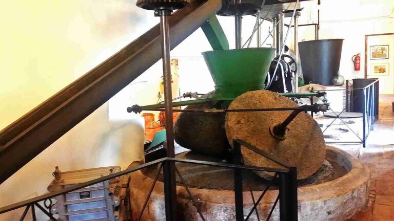 visita guiada privada en ojen 1 768x432