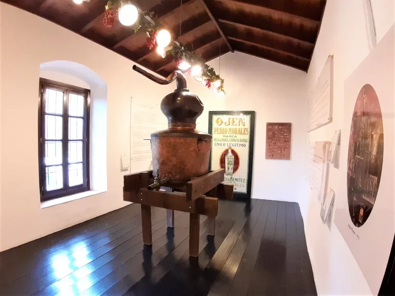 visita guiada privada en ojen 2 768x576