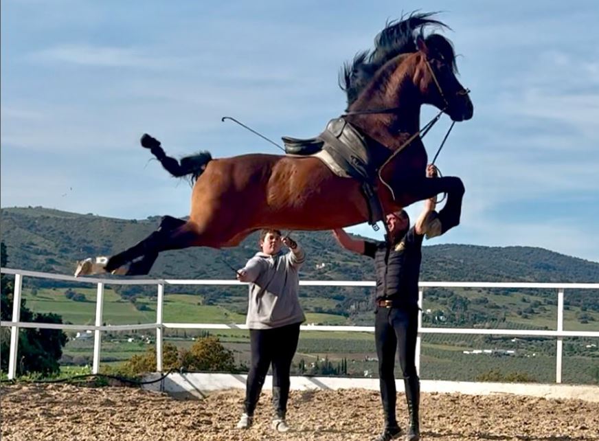 Ronda ecuestre
