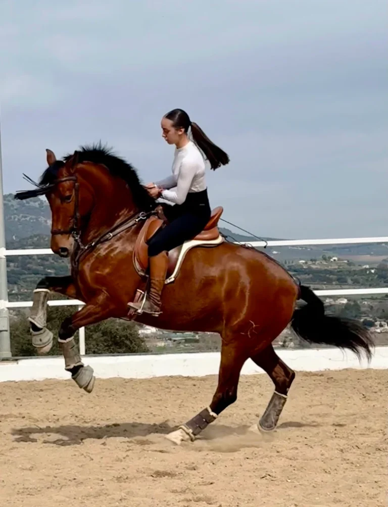 doma de caballos en ronda 2 768x1004