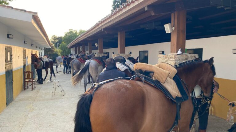 doma de caballos en ronda 3 768x432