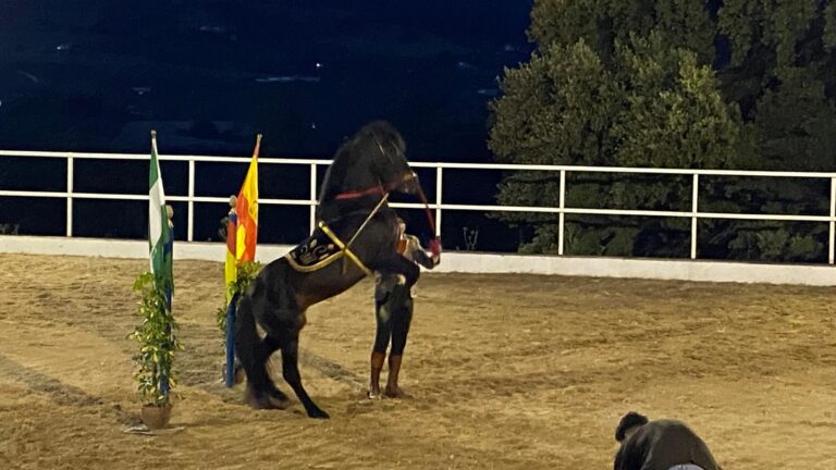 espectaculo ecuestre privado en ronda 1 768x432