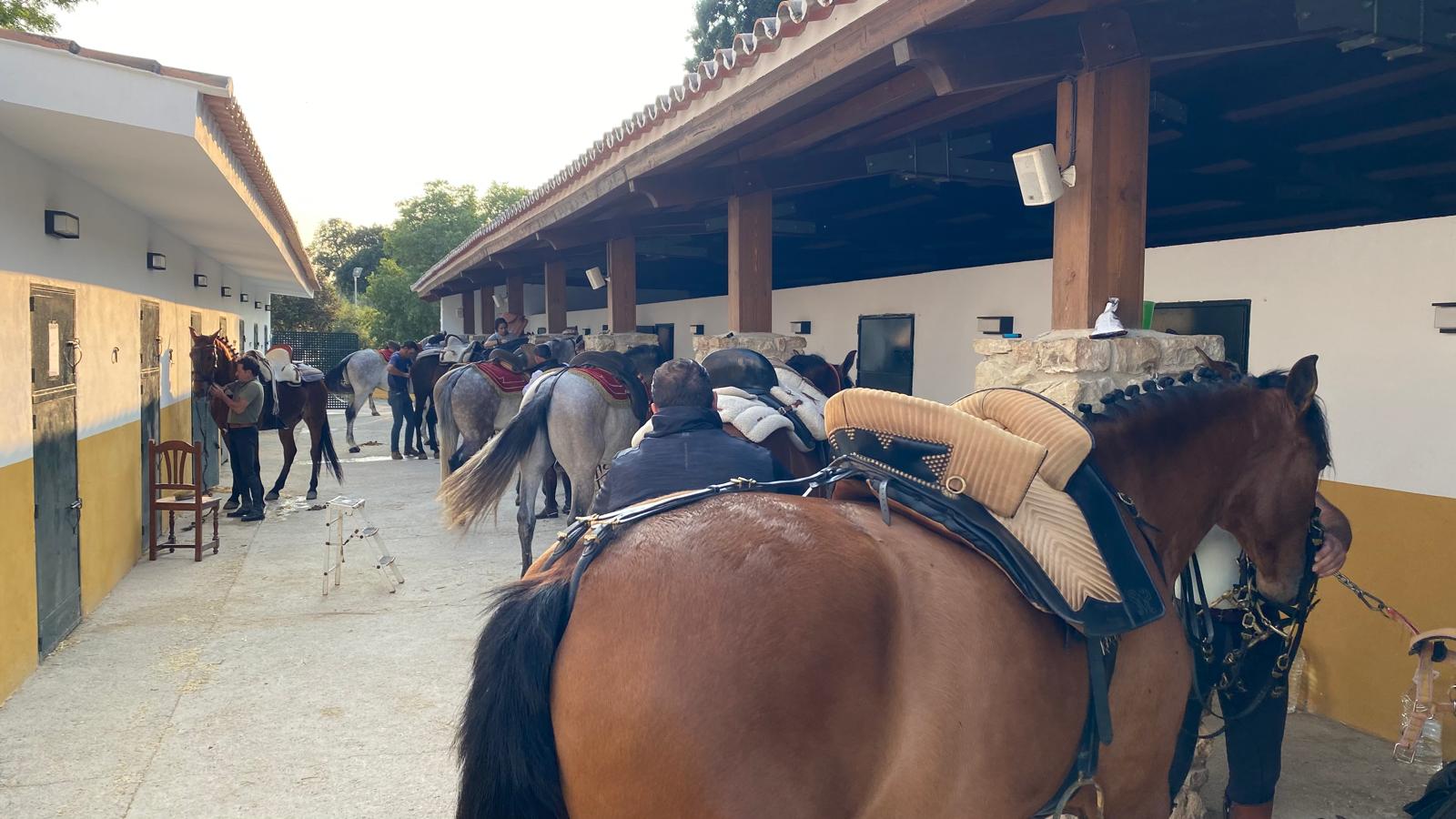 Espectaculo ecuestre privado