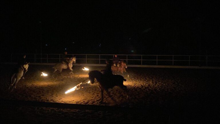 espectaculo ecuestre privado en ronda 6 768x433