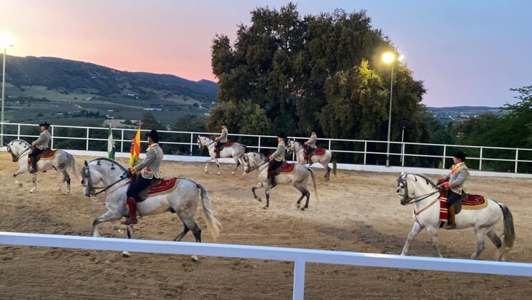 espectaculo ecuestre privado en ronda 7 1 768x433
