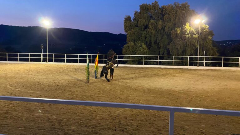 espectaculo ecuestre privado en ronda 8 768x432