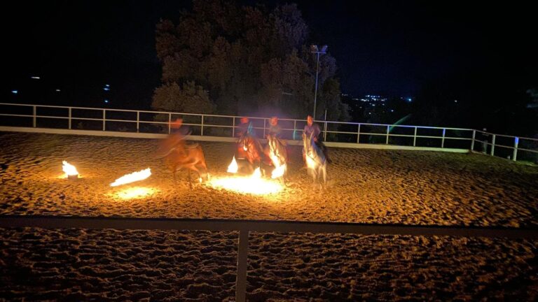 espectaculo ecuestre privado en ronda 9 768x432