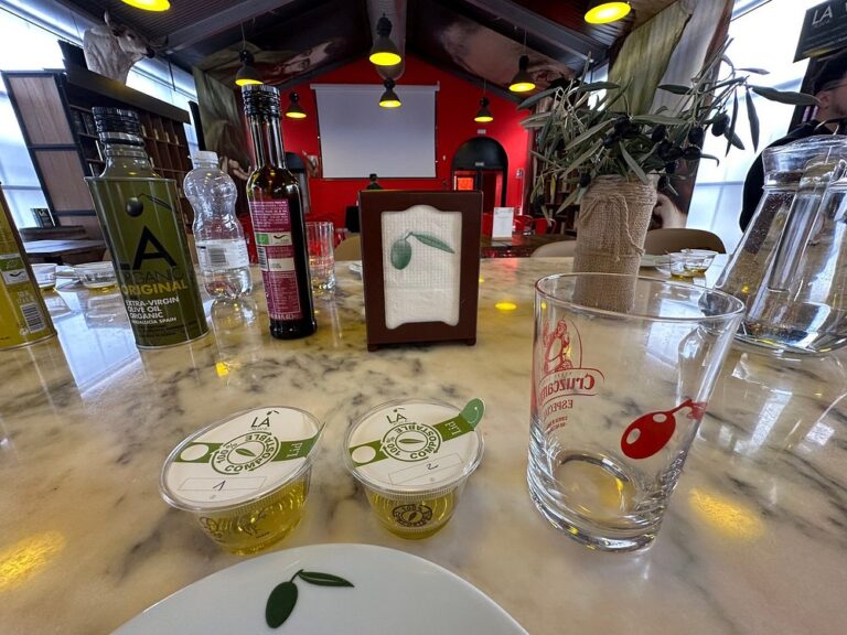 Almazara la Organic en RONDA 10 768x576