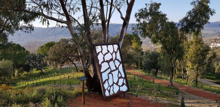 Almazara la Organic en RONDA 2 768x373