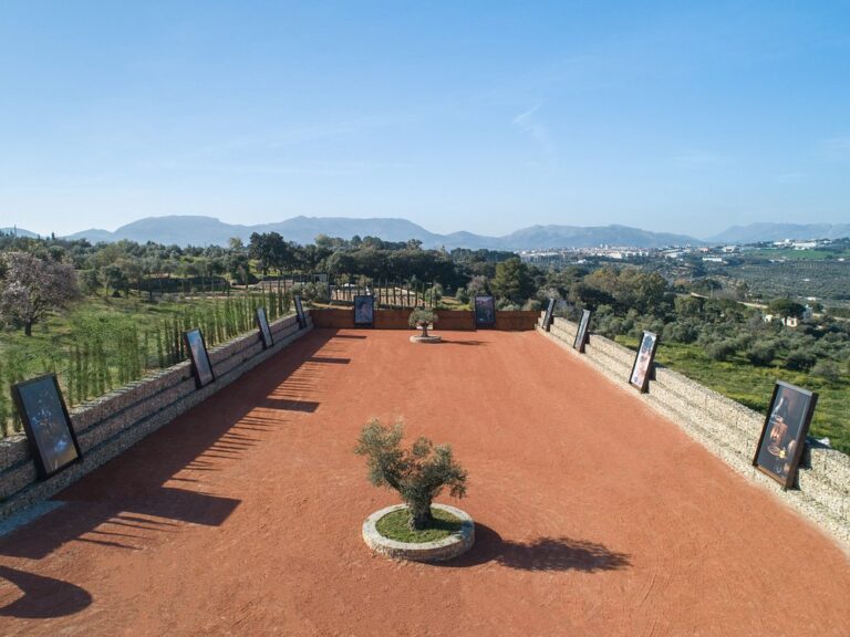 Almazara la Organic en RONDA 5 768x576