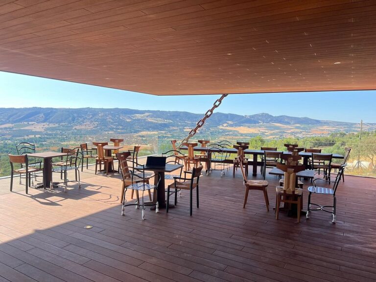 Almazara la Organic en RONDA 9 768x576