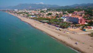 Playa el Alicate