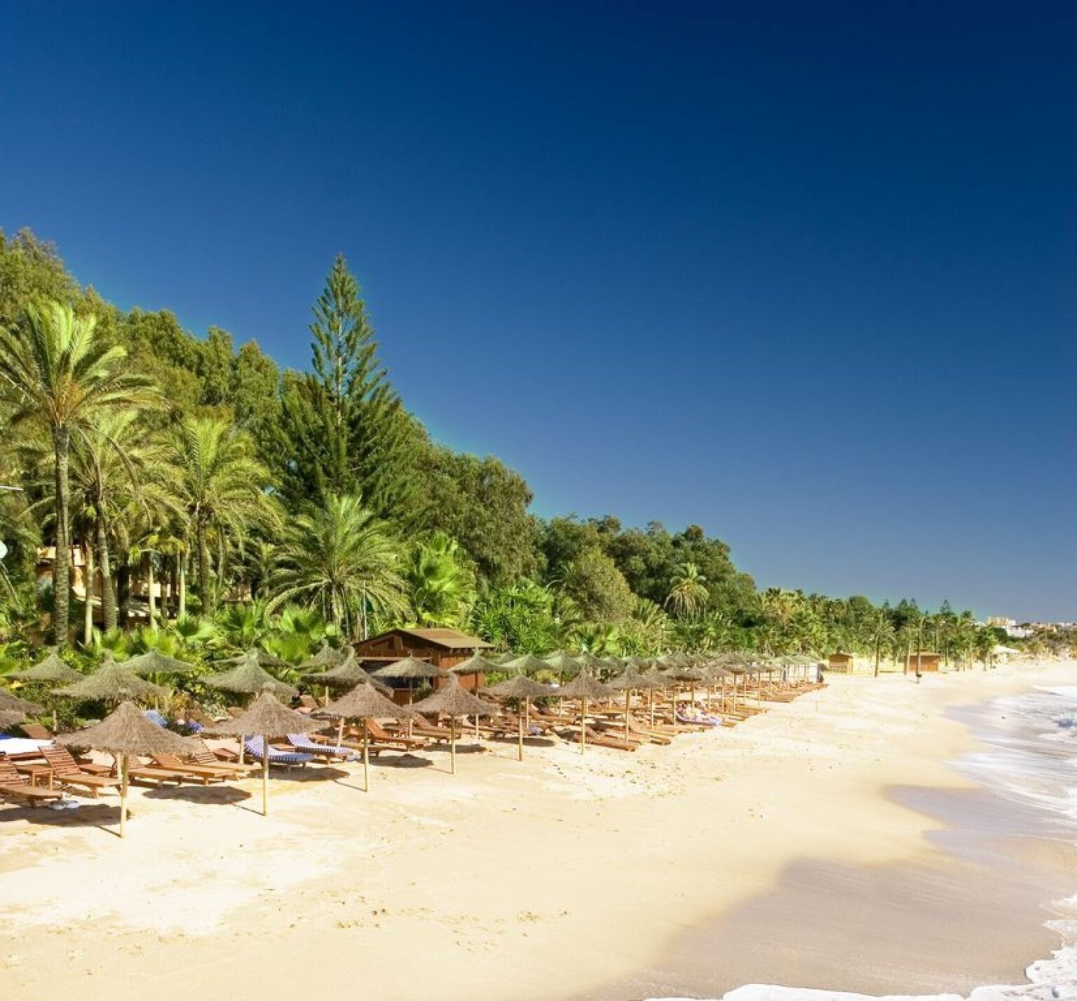 Playa Nagüeles Marbella