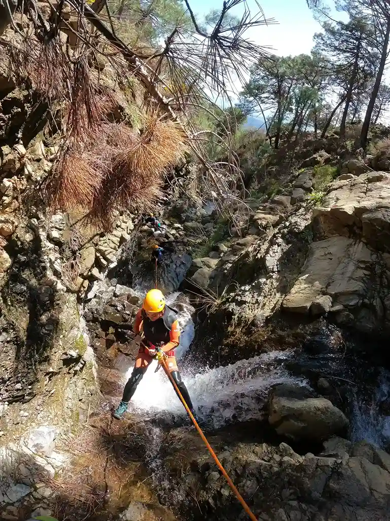 Berranquismo en Estepona 3