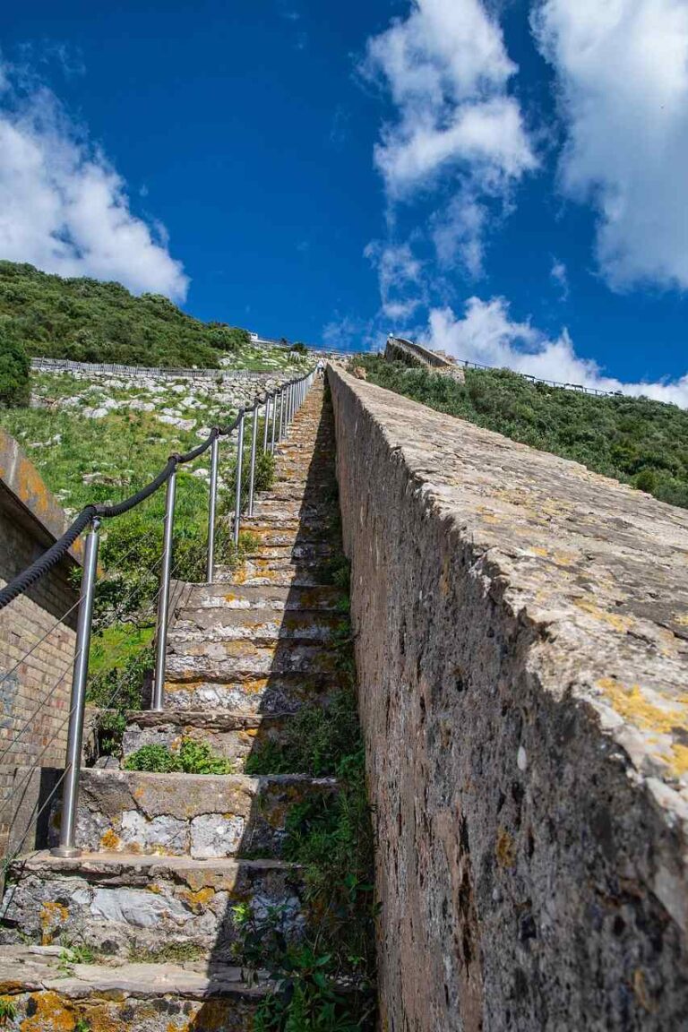 Excursion a Gibraltar y Puerto Banus 9 768x1152