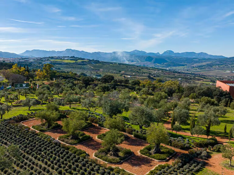 tour a ronda la almazara 1 768x576