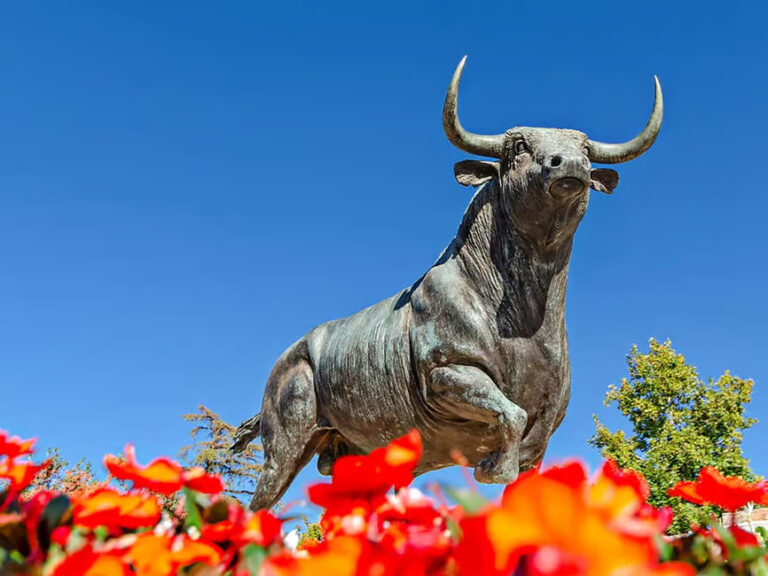 tour a ronda la almazara 4 768x576