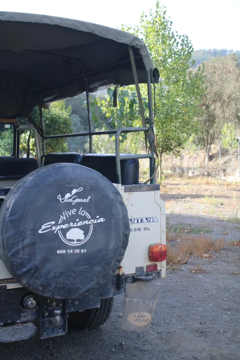 4b145030 94e5 4f23 9349 ad6de89c42bc.jpeg 768x1152