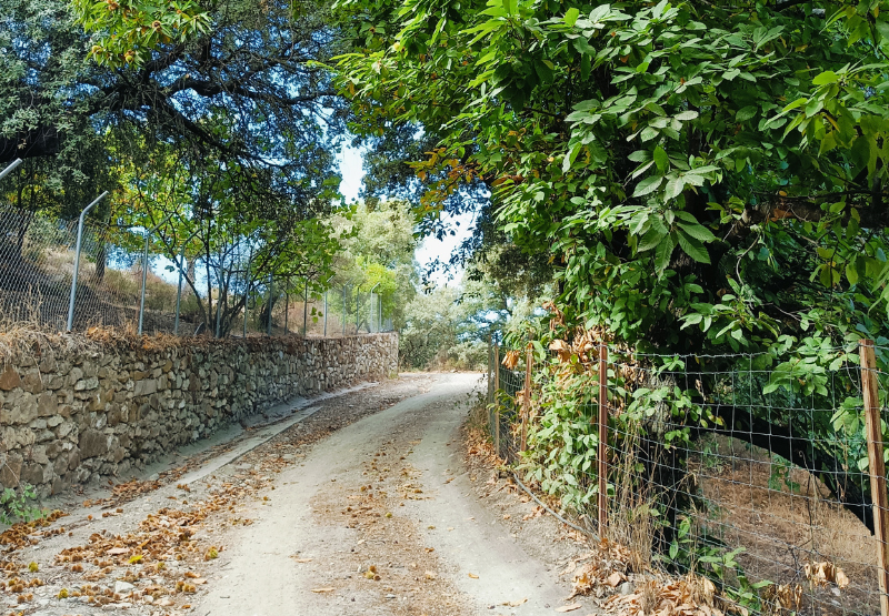 cómo hacer el Sendero de los Huertos en Alpandeire