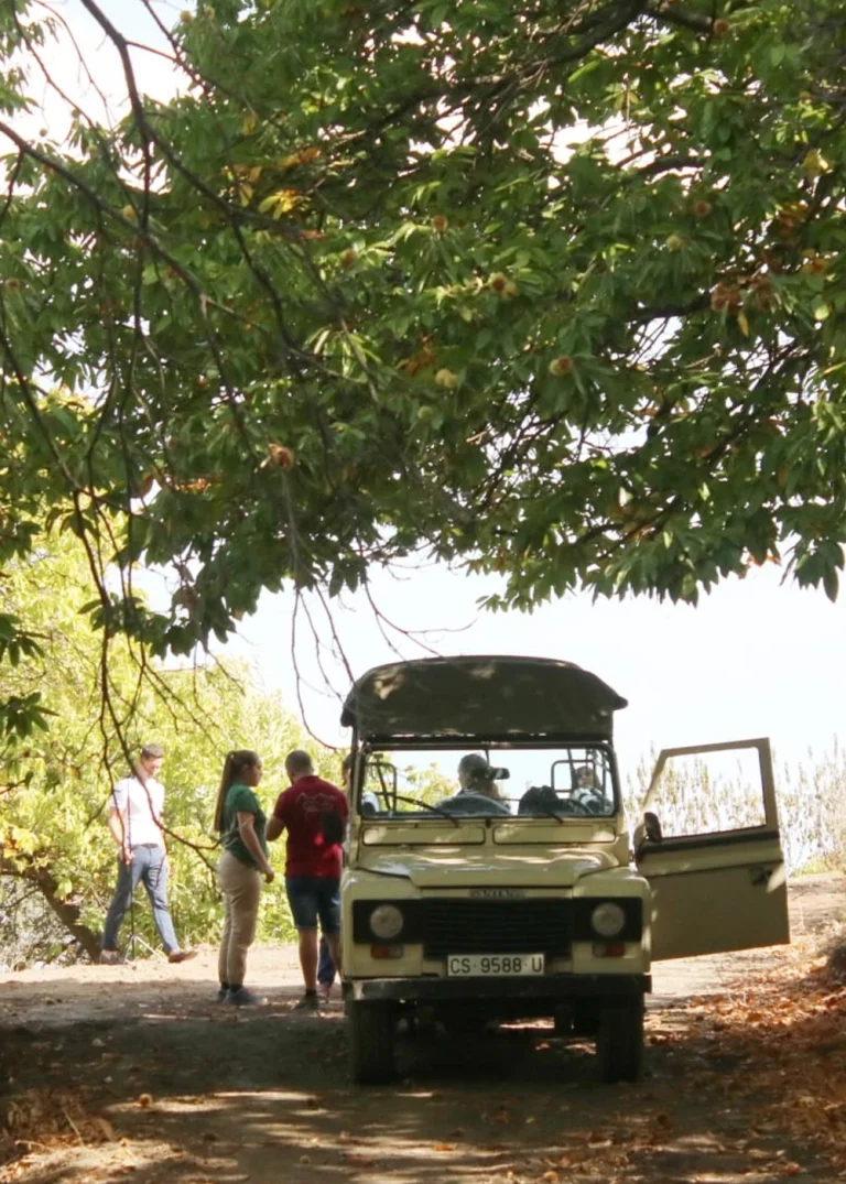 Ruta gastronomica del cerdo iberico Vall Genal 4 768x1075