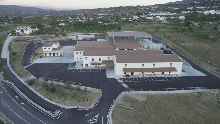 Visita Privada Aceites Molisur 1 768x432