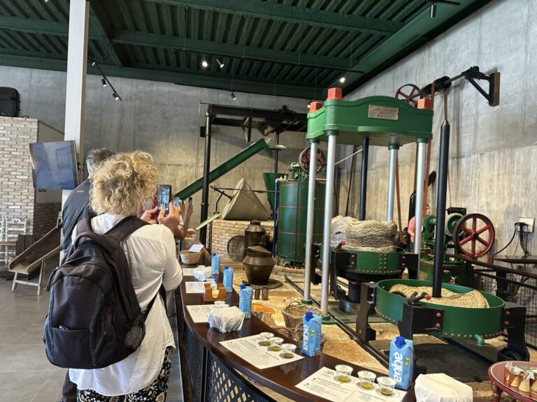 Visita Privada Aceites Molisur 4 768x576