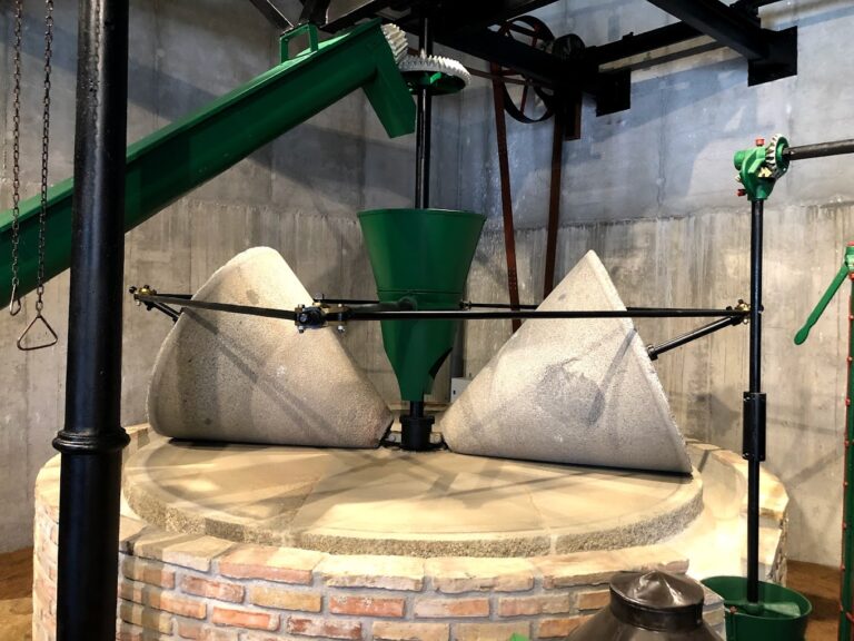 Visita Privada Aceites Molisur 5 768x576