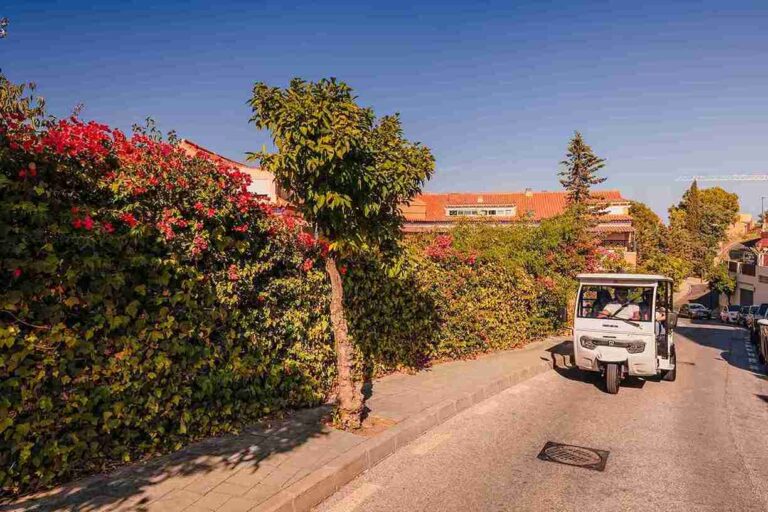 Visita guiada en Tuk Tuk por Malaga 10 768x512