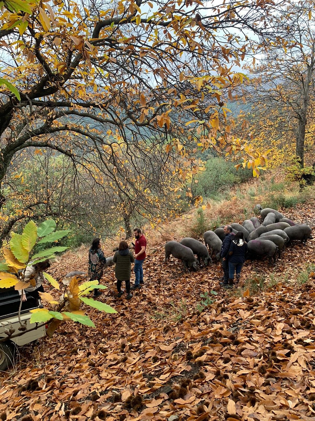 el toque distintivo de